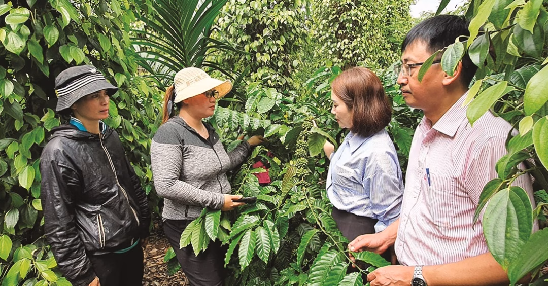 Ngân hàng không chỉ đóng vai trò cho vay mà còn là đơn vị tư vấn, đồng hành cùng nông dân tối ưu hóa hiệu quả sử dụng vốn.