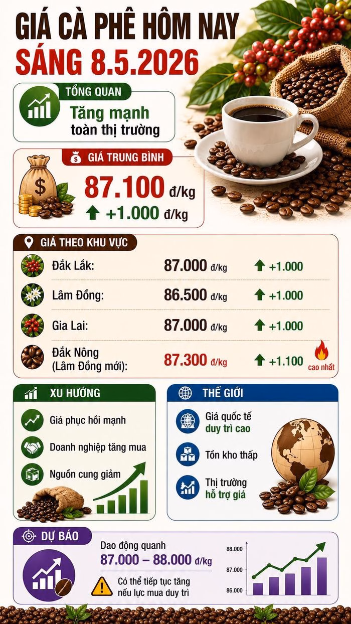 Thu hoạch và thu mua cà phê tại vườn