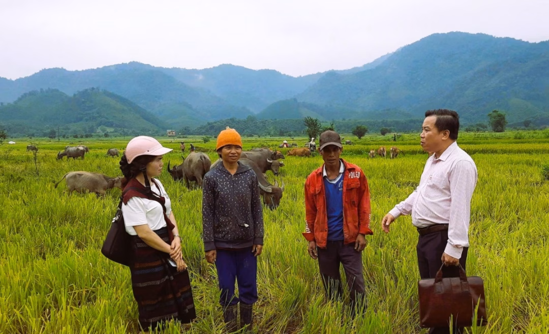 Dòng vốn chính sách len lỏi đến từng bản làng, tạo động lực phát triển kinh tế cho bà con vùng khó.